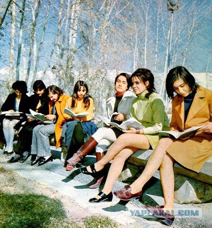 Иранская девушка рискует своей жизнью, публично снимает хиджаб, протестуя против законов шариата