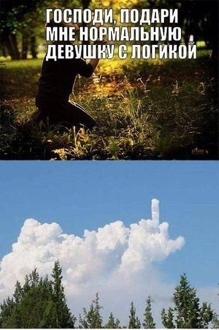 Картинки с надписями и анекдоты