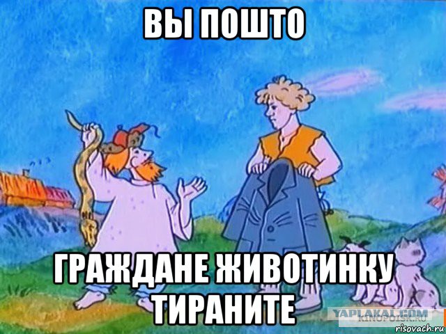 Змеи в Азовском море