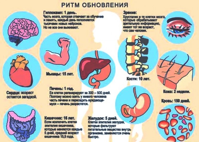 Всякие разные жизненные шпаргалки и таблицы