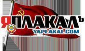Гигантскими портретами Сталина массово украсили Воронеж