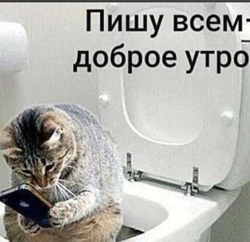 Пожалуйста, не бросайте животных