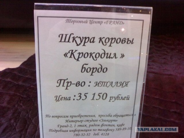 ЦЕННИКИ. Прейскуранты, кассовые чеки и т.п.