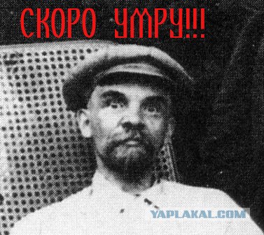 Простое человеческое счастье в картинках