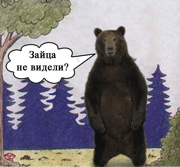 "Смелый" мишка