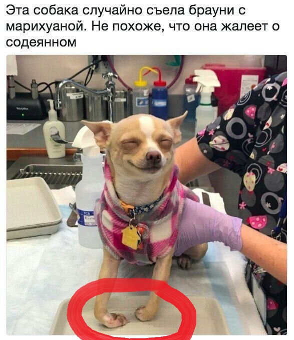 Так себе картинки 08.02.21