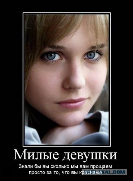 Кисо обиделось...