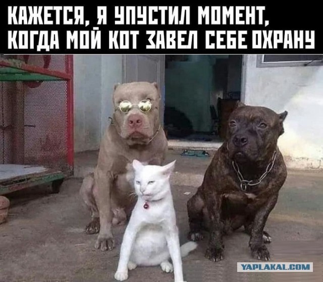 Картинки с надписями и всякие жизненные фразы 16.04.21