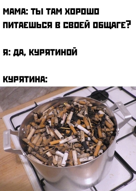 Весёлый полтишок 22.04