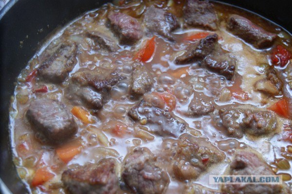 Фасоль – International, Или «Веселые нотки»