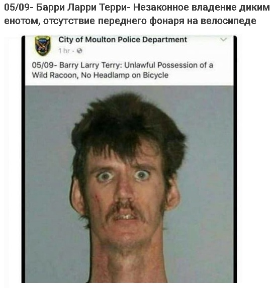 Картинки и мемы для настроения 05.08.2021