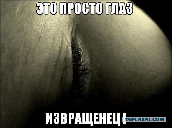 Так себе картинки 02.09.21