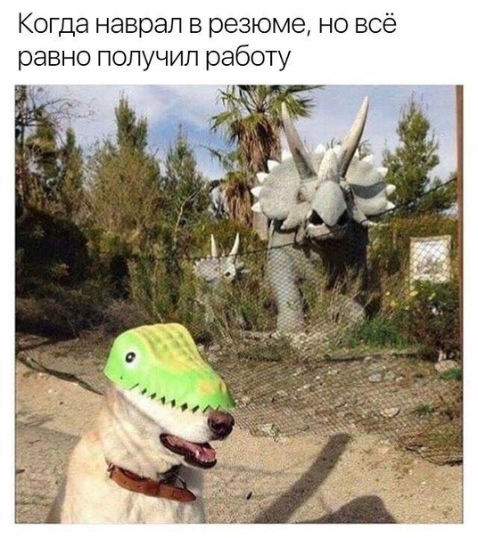 Весёлый полтишок 15.09