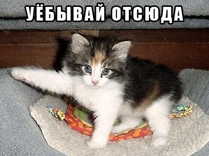 Мы рабы, рабы мы