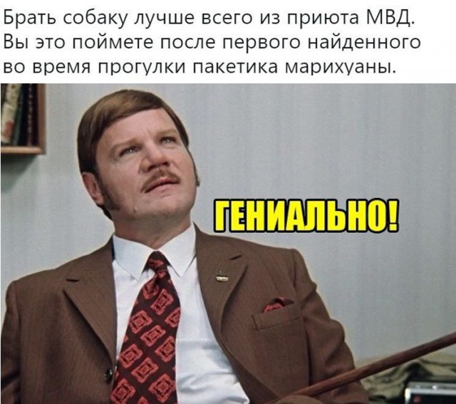 Так себе картинки 07.04.22
