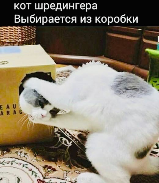 40 картинок разных 13.04.2022