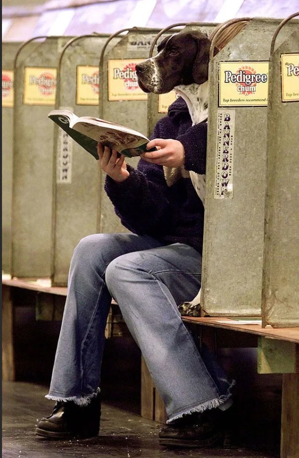 Это нужно развидеть: 14 забавных фото, которые обманут ваше зрение