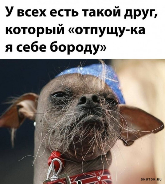 Так себе картинки 26.07.22