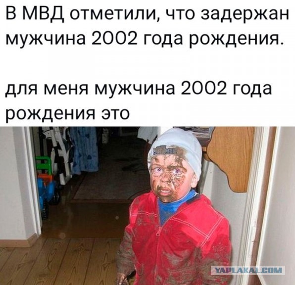 Подборка смешных картинок на ночь 31.10.22