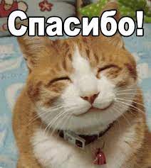 Котопровод