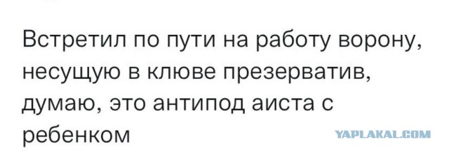 Дежавю