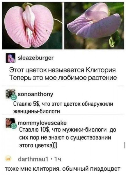 Пятница. И немного слегка пошлых картинок с надписями и без 16+ (10.02)