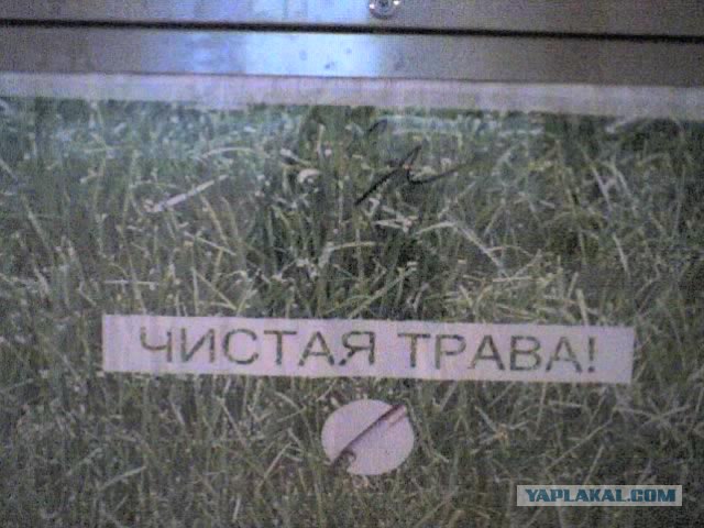 Приколы из Казахстана