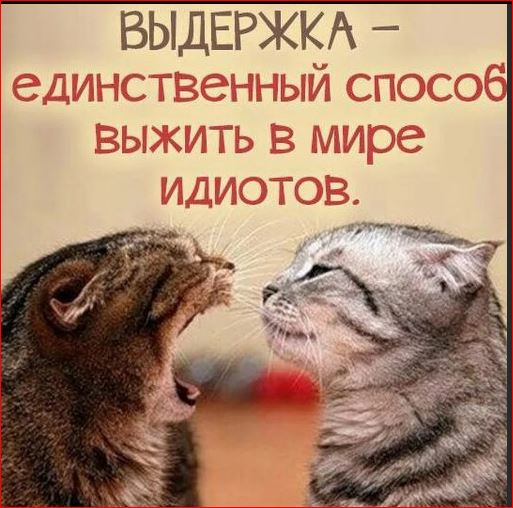 Победная поступь идиотизма по планете – том 17