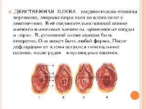 Хочешь служить в полиции? Докажи, что девственница