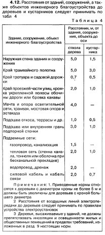 На Урале чиновники срубили ёлку на садовом участке местной жительницы, чтобы установить дерево на главной площади города Миньяр