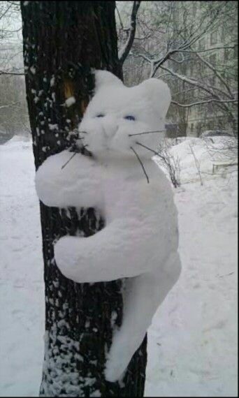 Котики из снега и котики на снегу