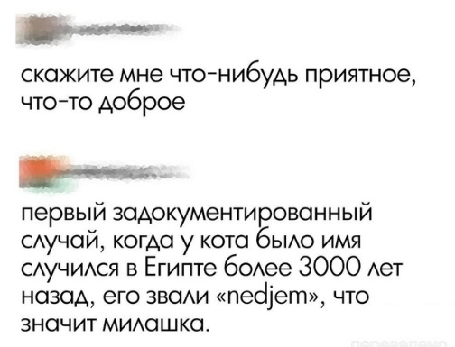 Винтажное барахло (Бояны)