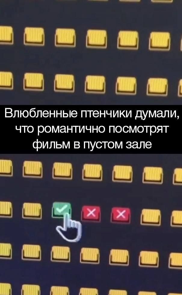 Никакие картинки и такие же тексты