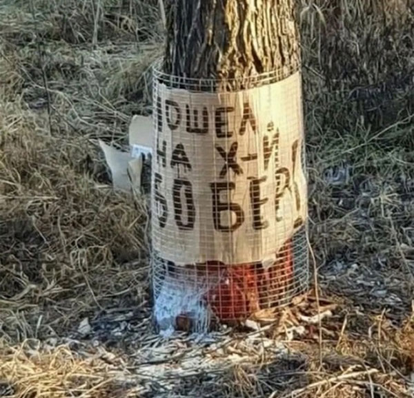 Суббота! Баяны! Красота!