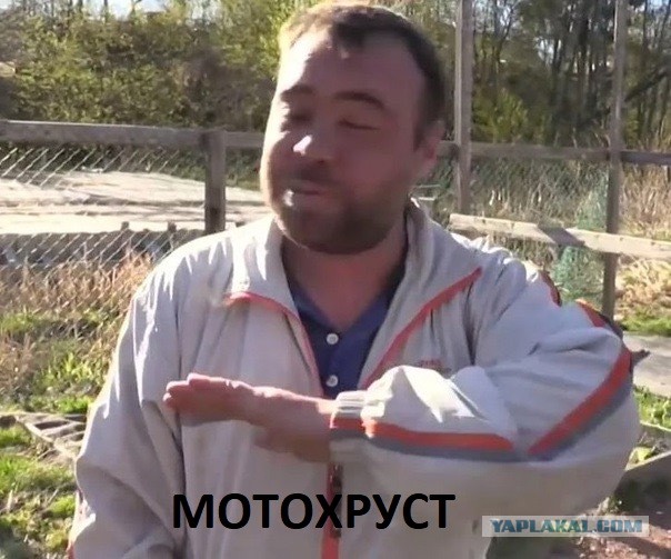Разрешающий сигнал...⁠