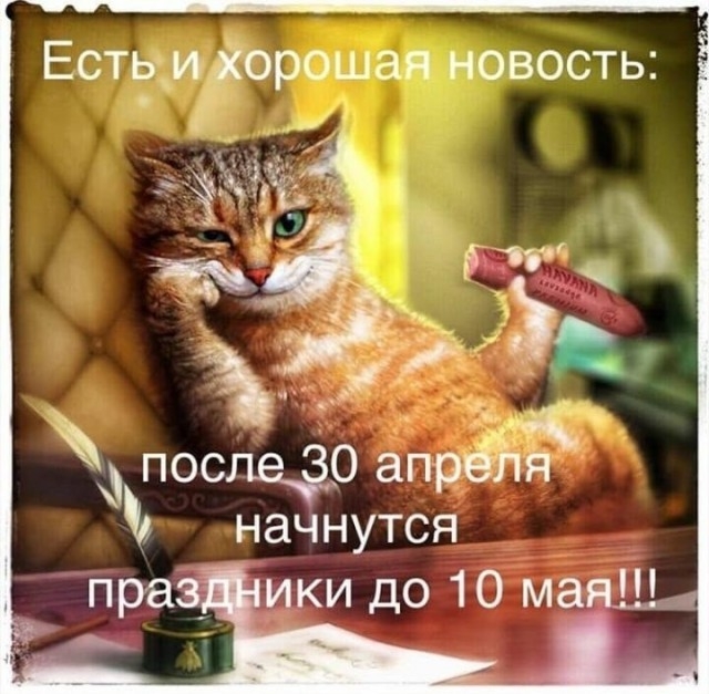 К котовторнику: подборка картинок-баянов с котиками и про котиков. Выпуск 2.