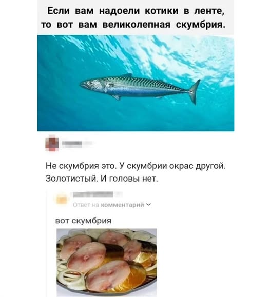 Так себе картинки 04.03.25