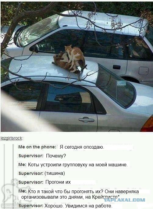 вот почему я опоздал на работу