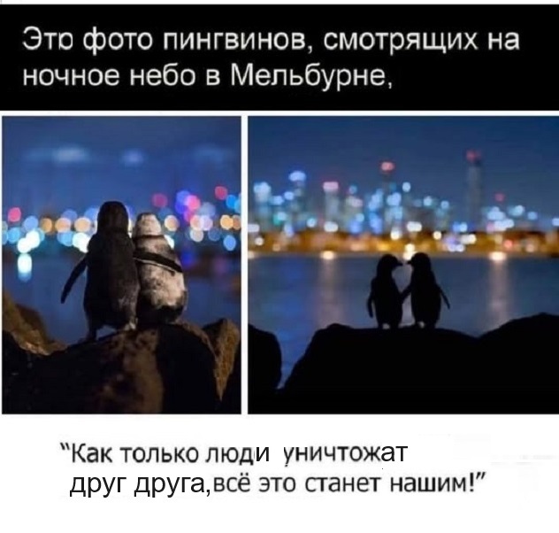 Картинки разные с надписями и без