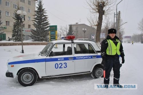 Полицейские мира