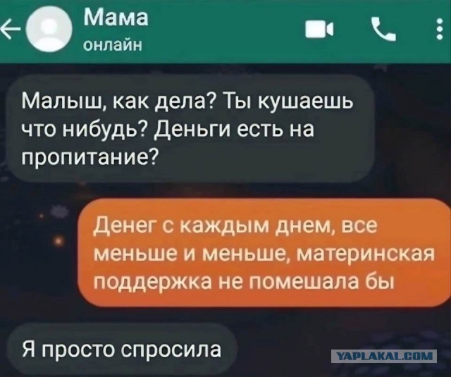 В РФ призвали обязать застройщиков делать толстые стены, чтобы россияне не стеснялись заниматься сексом