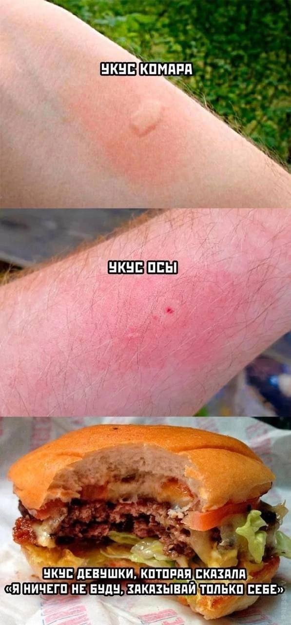 Веселые картинки в понедельник (04.08)