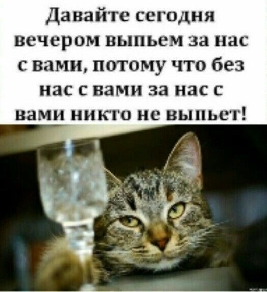А не хлопнуть ли нам по рюмашечке?..