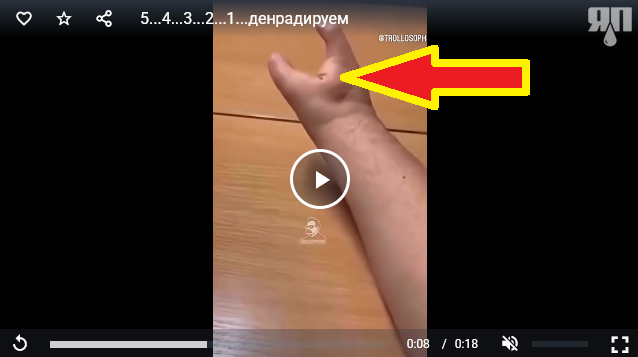 5...4...3...2...1...деградируем