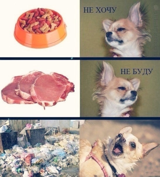 Картинки для деградации 56 (разной степени свежести)