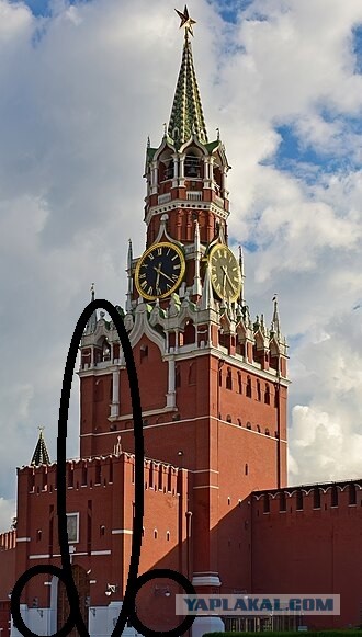 Говно волков, сжирающих оленей в Финляндии, содержит российскую ДНК