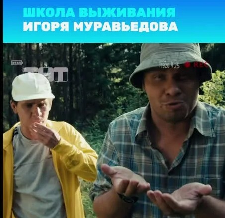 Выжить в лесу