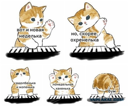 Ударим по баянам ?‍↔️