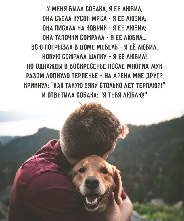 Собака-барабака.