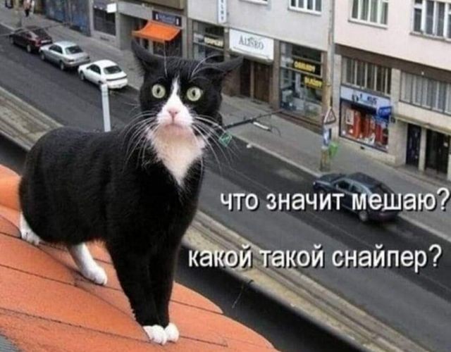 Картинки для деградации 183 (разной степени свежести)